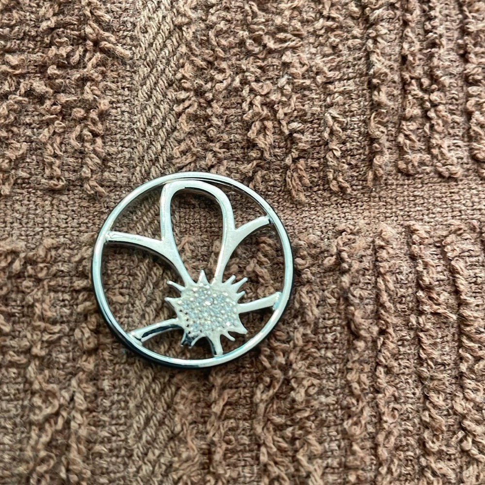 Origami Owl medium locket insert